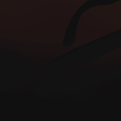 Lunette Sportconnect FLEX-Black